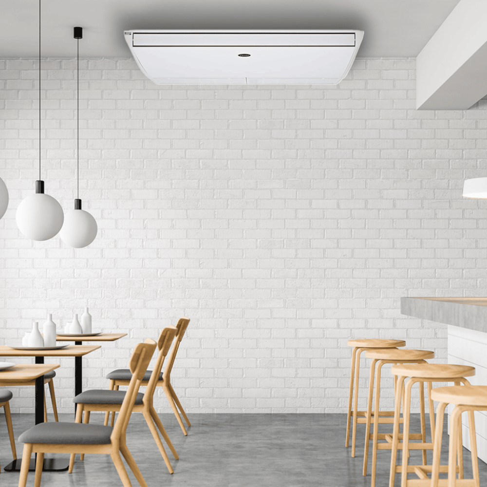 image_585e5634-dd17-40e0-98c5-6d50a9a65b9e