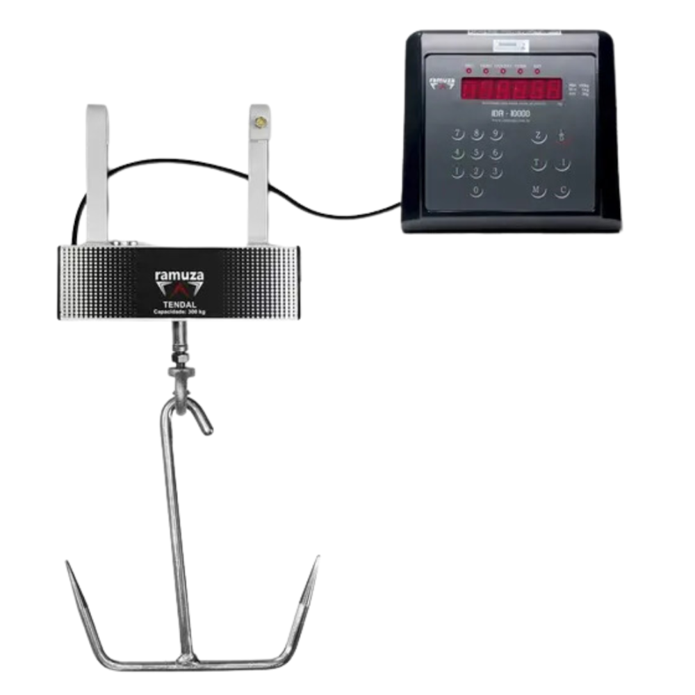 image_d13d543c-32f0-4c81-ad45-b19feabd7e3b