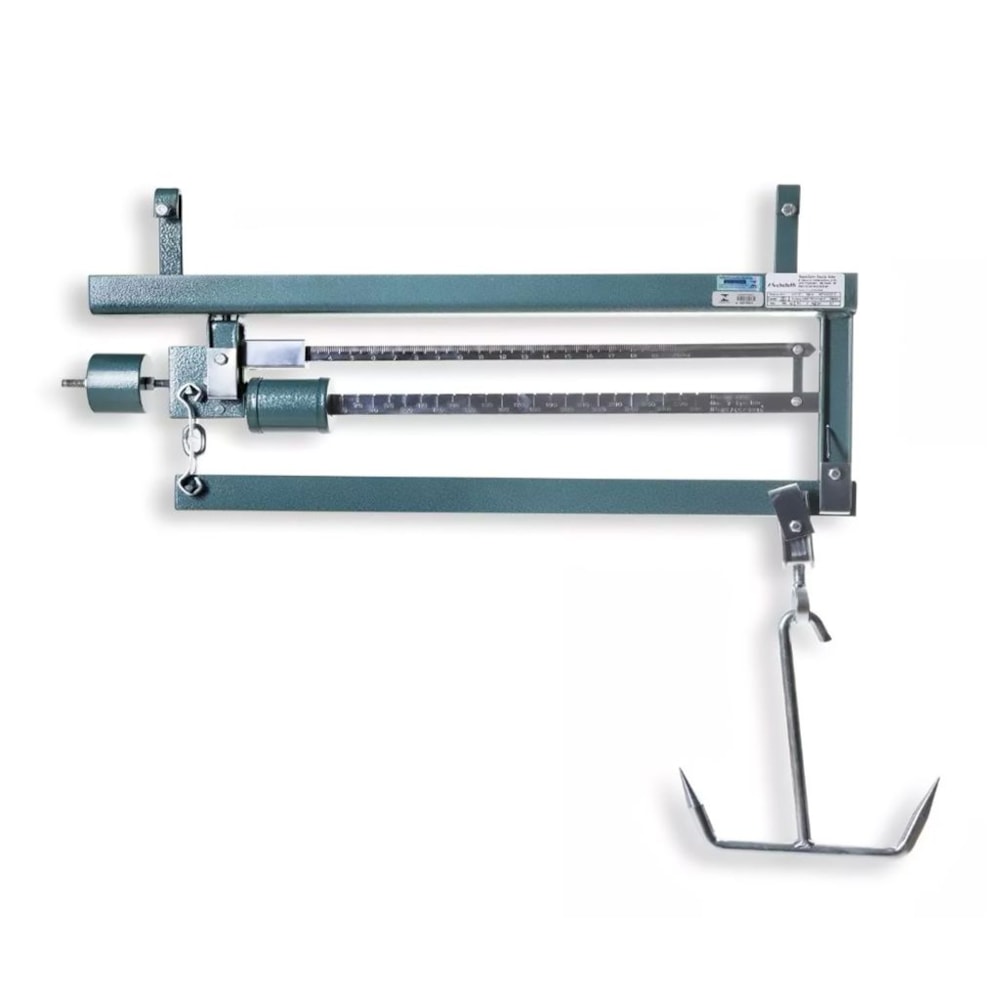 image_596e3393-410d-4b84-b723-73be94cbd73c