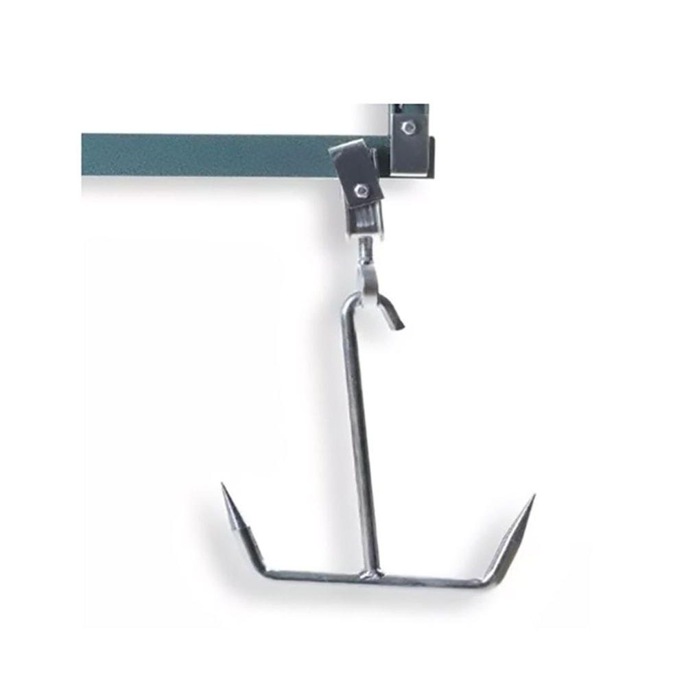 image_48299629-9153-4a66-8fe2-a8d142a67509