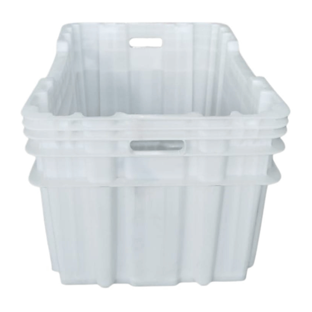 image_259df45b-de76-44ca-9772-e5c9b5d74fed