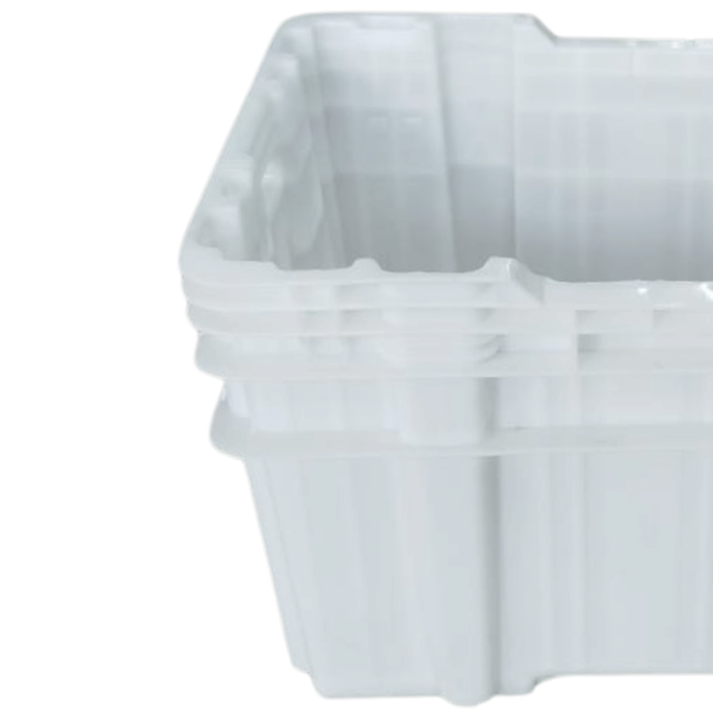 image_e9eec06d-2507-42bd-bc6c-a6df59a88c29