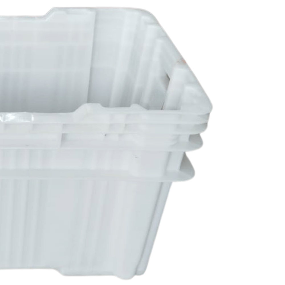 image_19c9fc04-95f1-4a8a-9993-5a47ebeea704