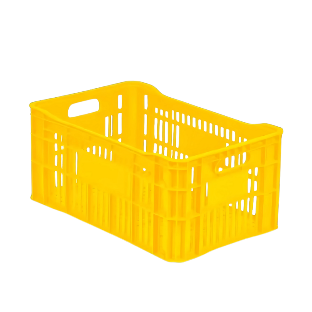 image_a6493995-2b0d-4fa7-8b79-2d24fffe3901