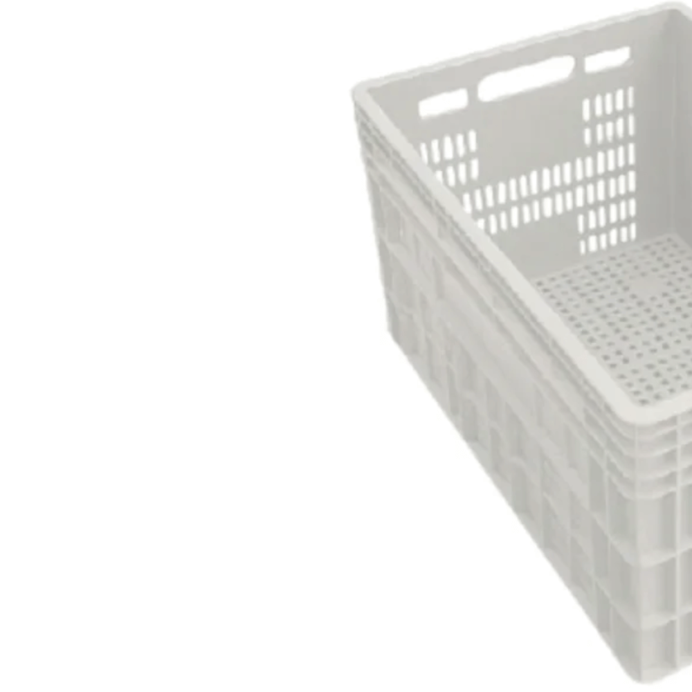 image_091c4b11-ed4c-4736-a64d-d594739c8d6e