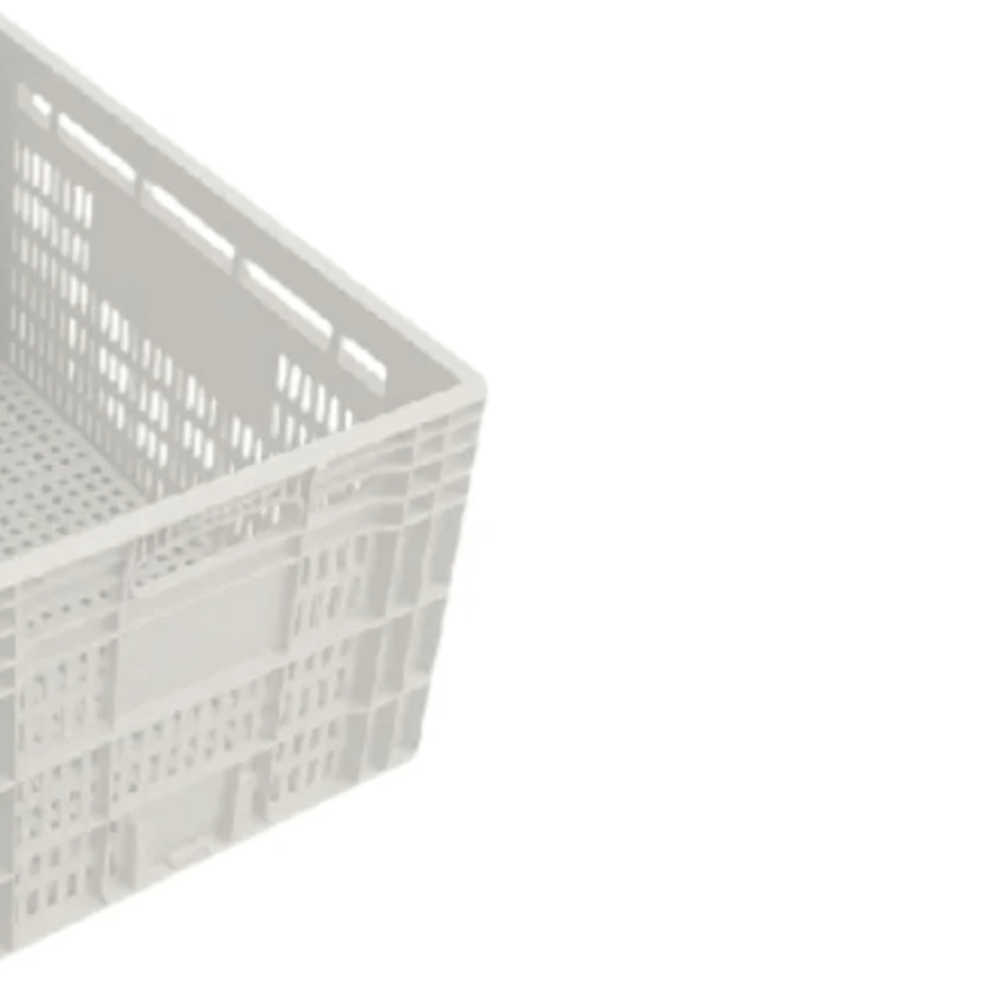 image_1b3b765d-cb31-4245-8cbc-bc488f67b41d