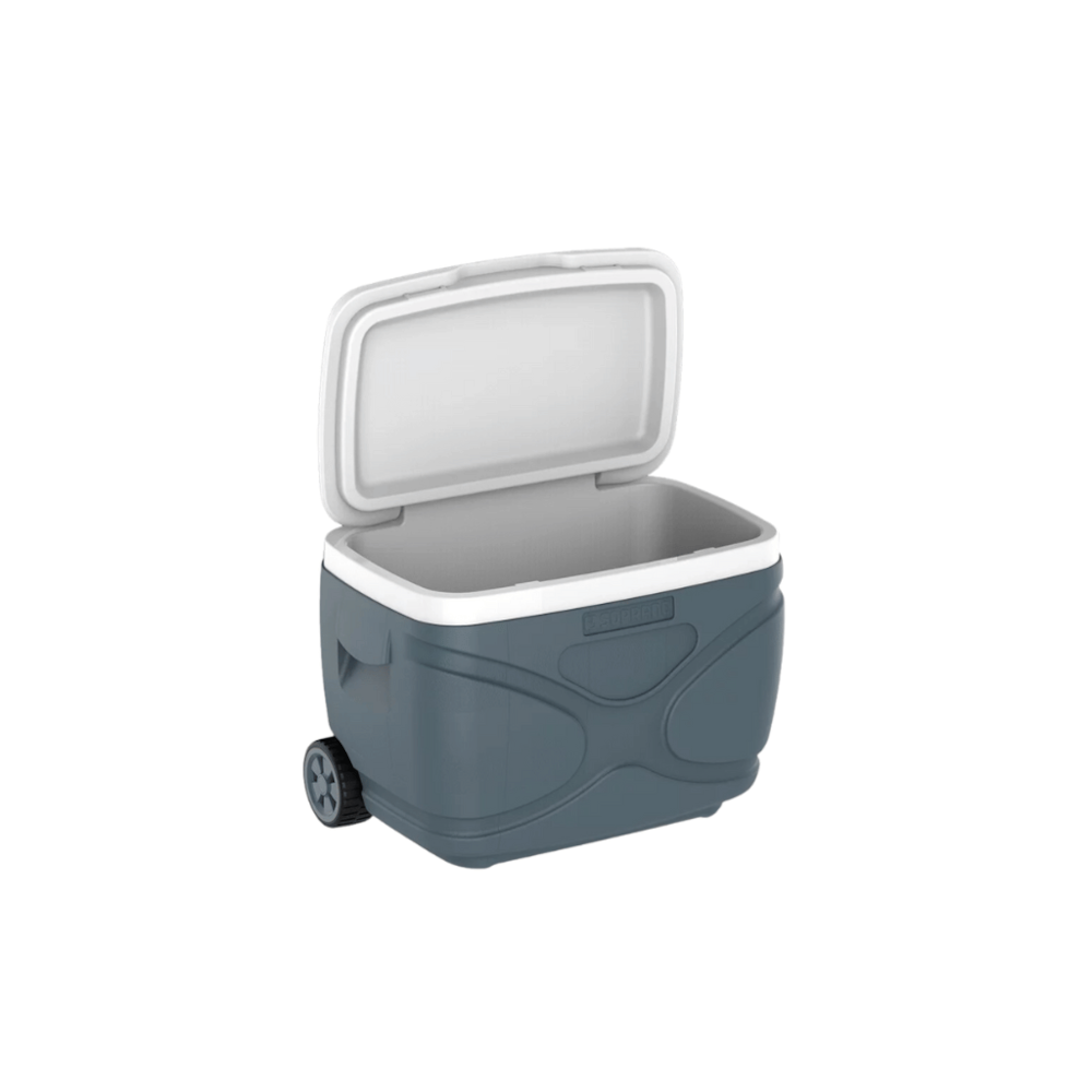 image_4de96f42-5893-4f98-bcfc-d4e1c95cc3ca