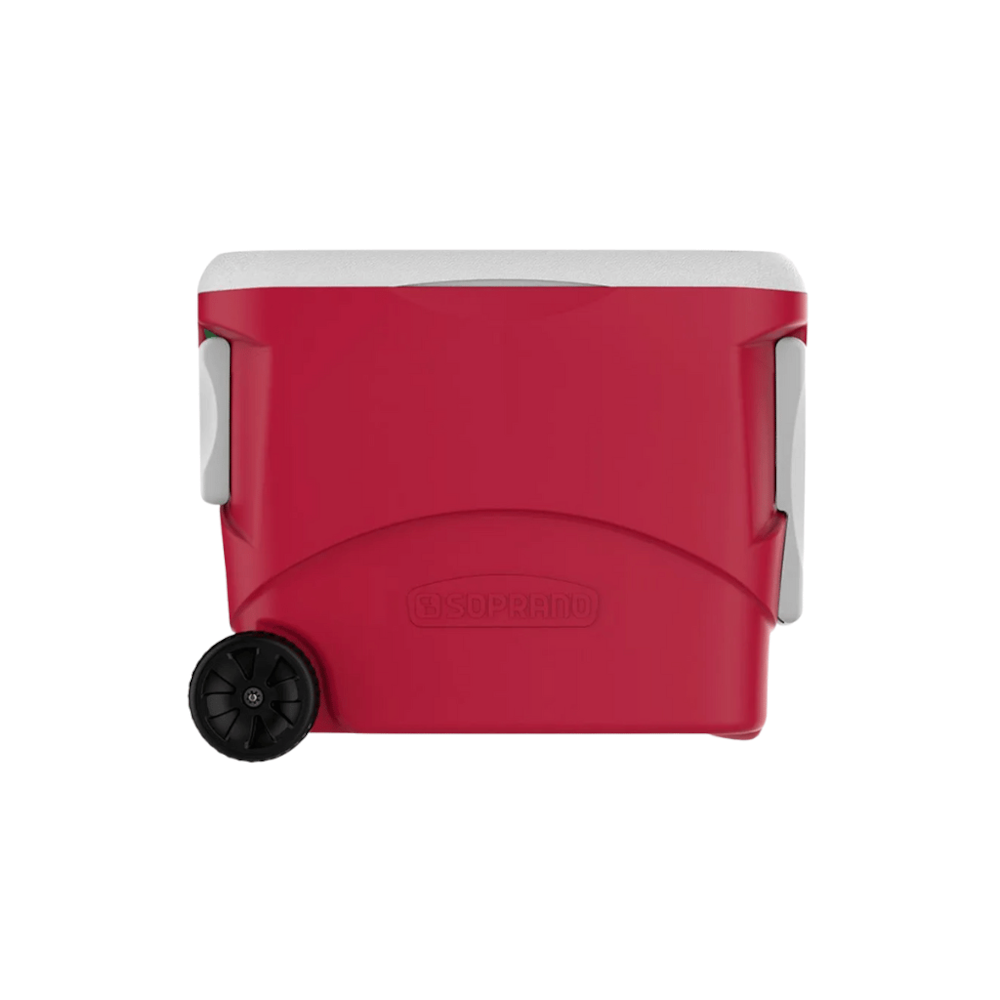 image_493c92d0-64e3-4bce-a944-cfaf989e8097