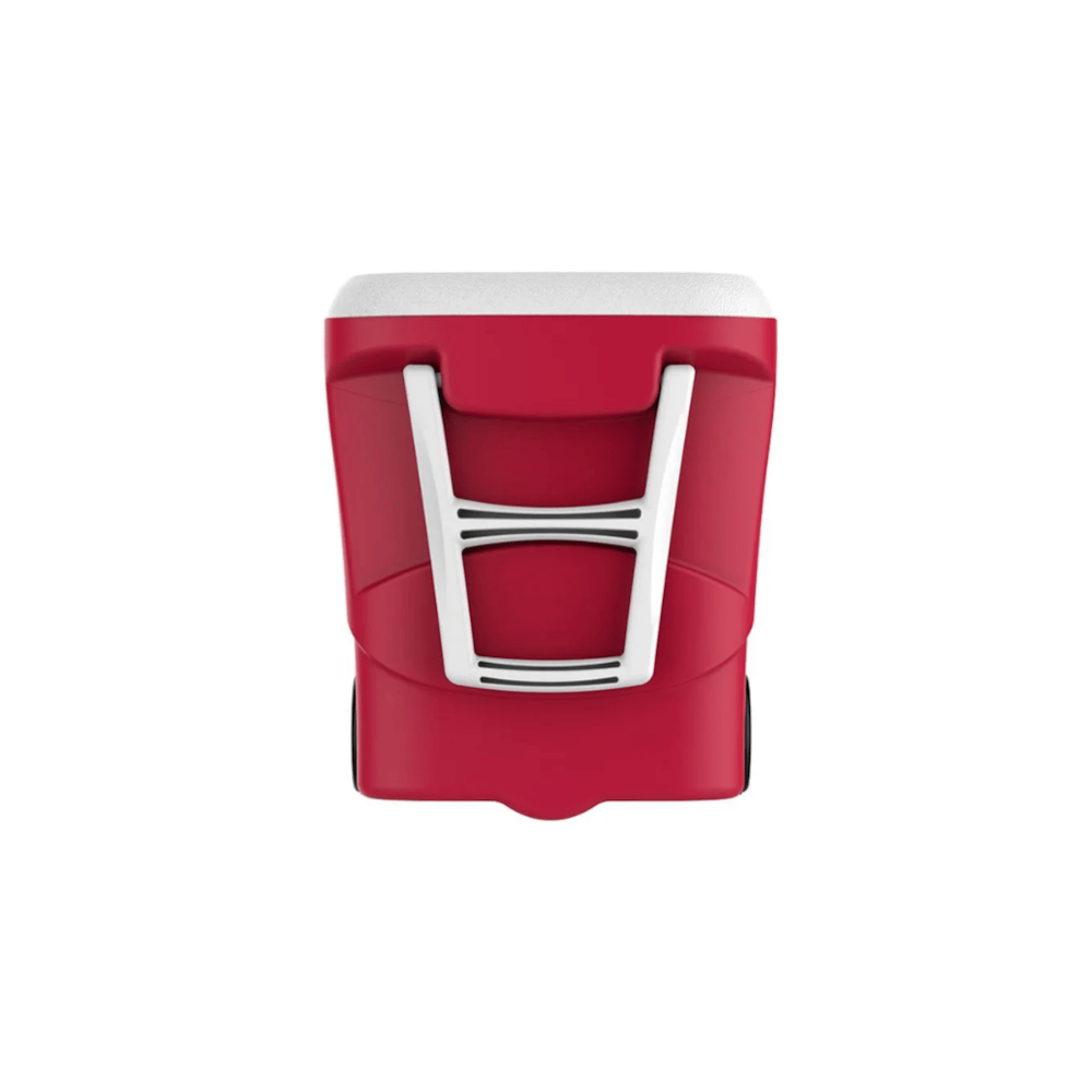 image_a1c100fb-9386-4f04-9938-26082bc6c8f0