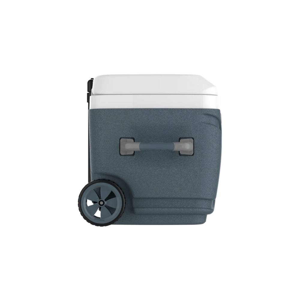 image_55295029-0168-4001-98a0-c987256f0a28