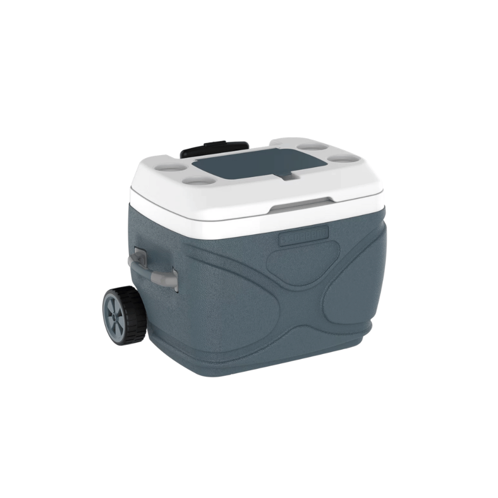 343067.jpg?w=1200&h=1200