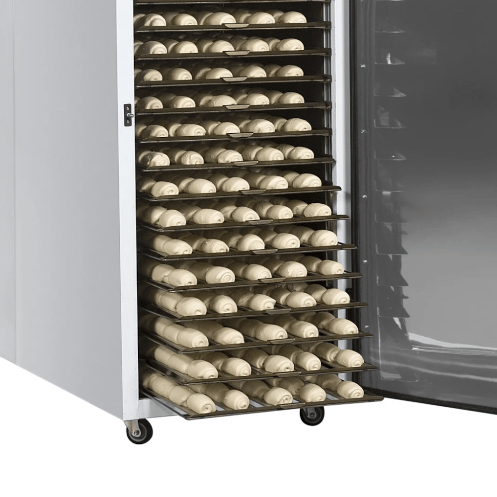 image_5467afe8-dc3b-4bd1-b670-7fcaacf467ba