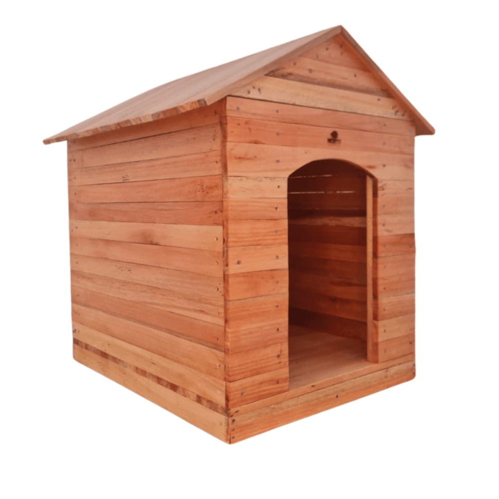 image_ba21f914-331e-45db-ac69-501baf01cee7