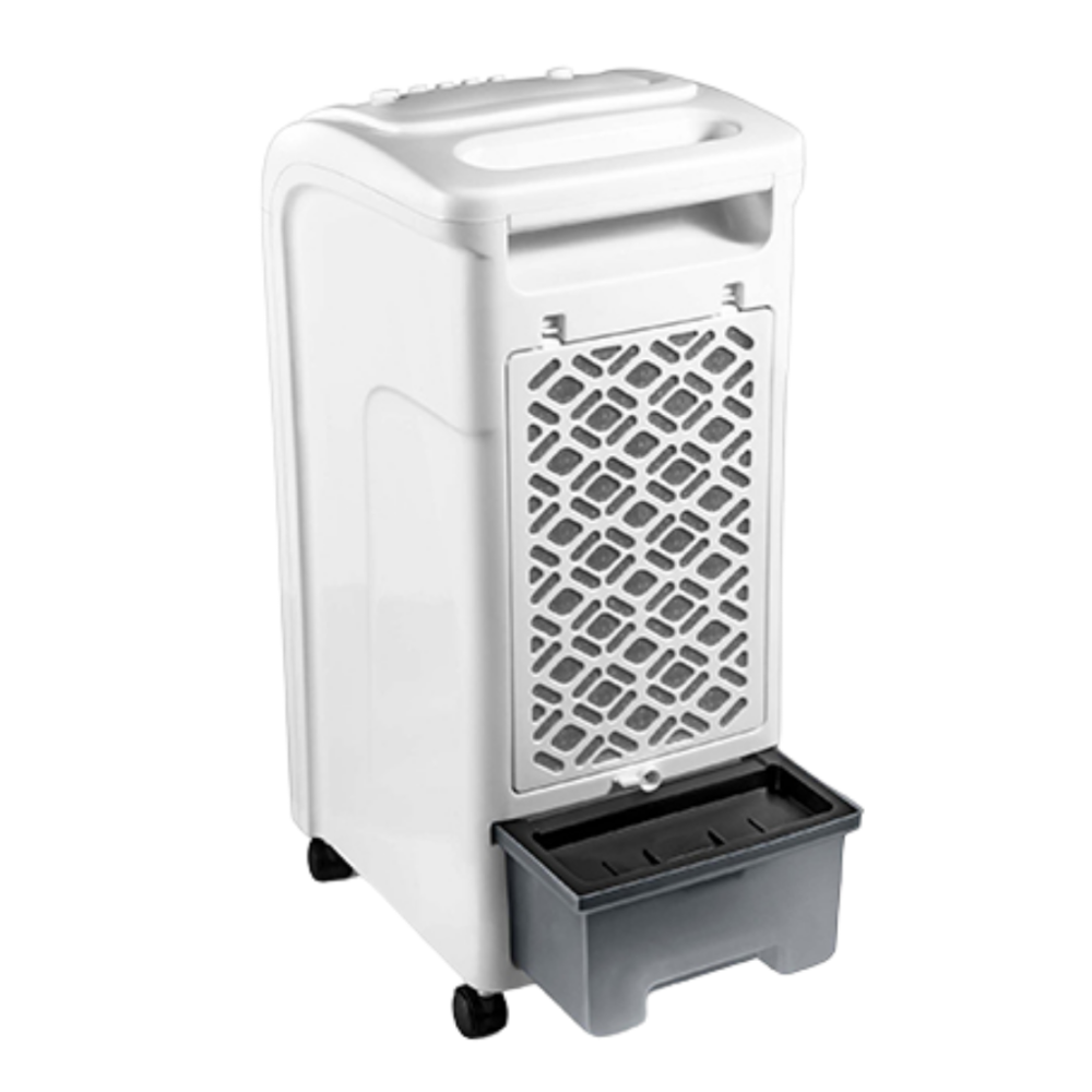 image_0bdc7970-4b87-4aa8-8162-ab0c7482b7d7