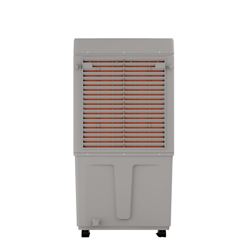 image_279f9987-c8fc-4512-ad52-2f372bb2dc23