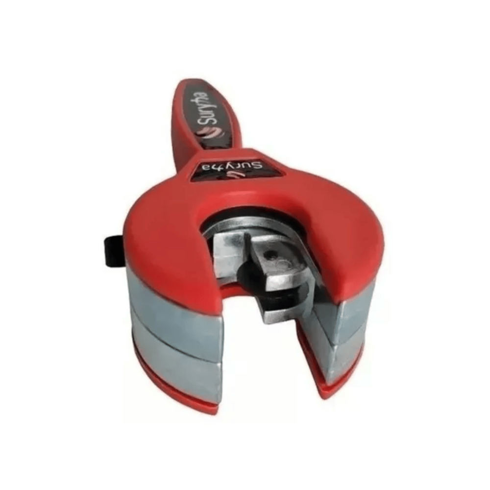 image_e8bead30-4b33-47b7-97a3-c1e6221a2cc0