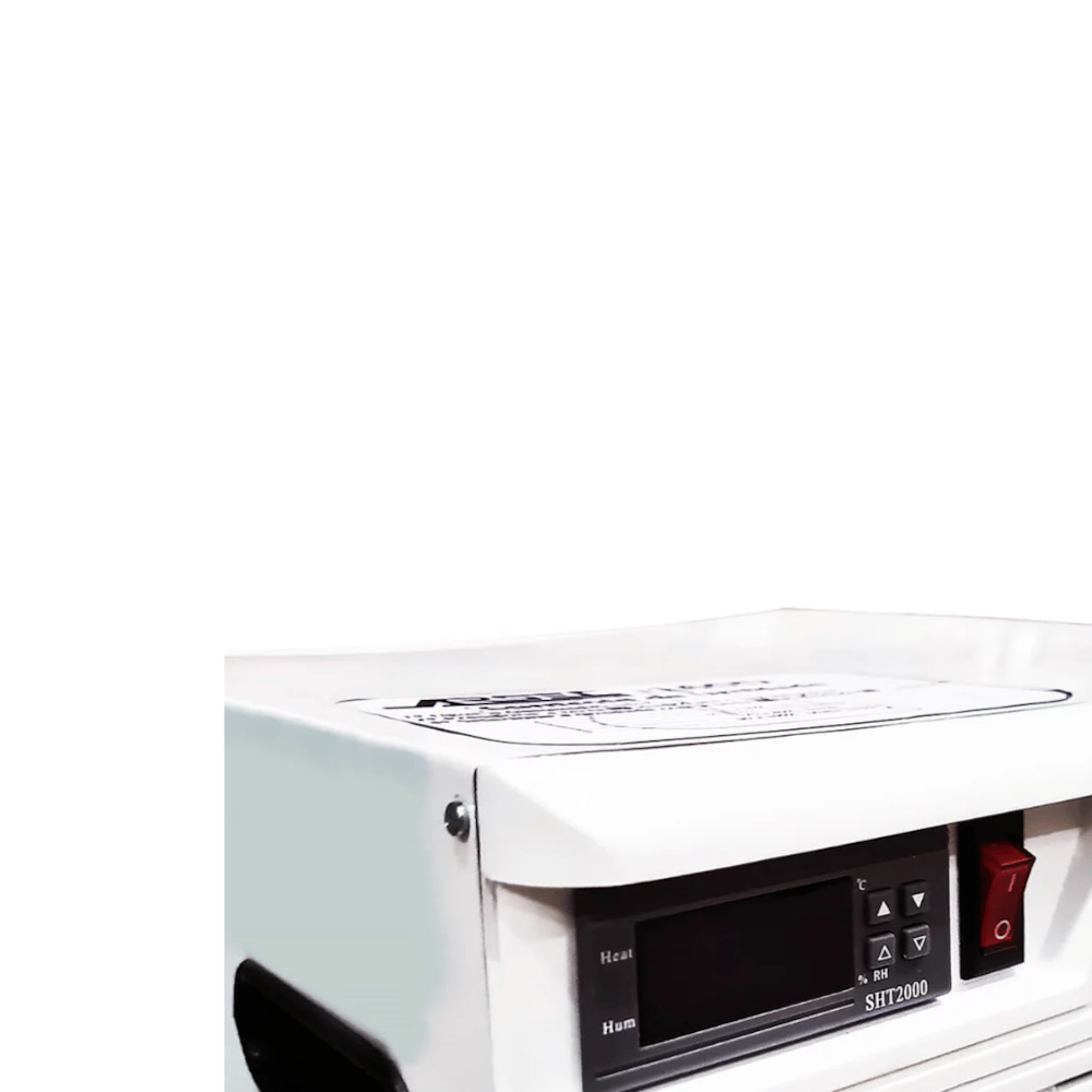 image_7cd79212-6a18-46c6-8f9d-cd7e372bb333