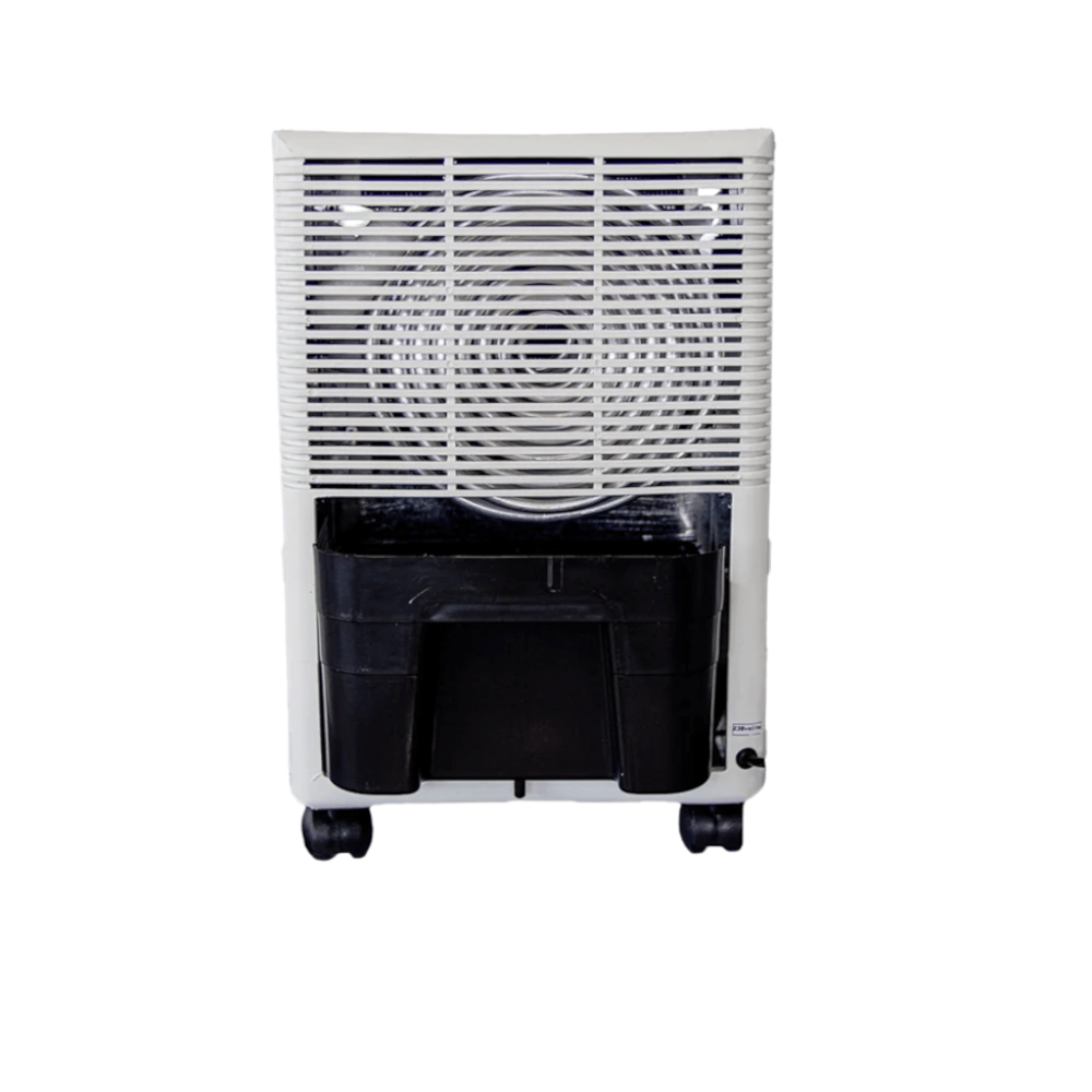 image_683cab45-b35a-4895-aecd-858b1cfa1b35