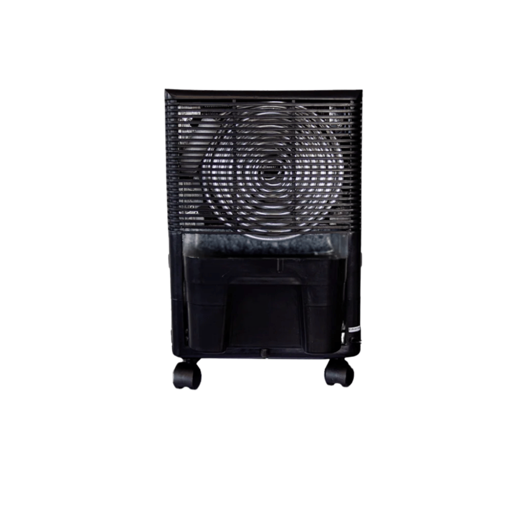 image_eb0b7038-f482-46d4-8d08-d08afca0ef43