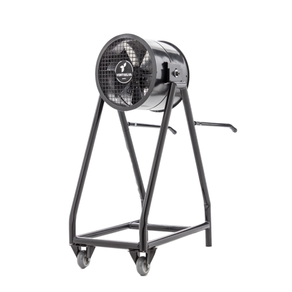 image_c65e87e9-35b0-4b24-91b4-554a7faa6540