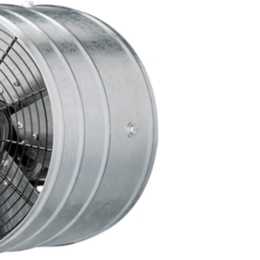 image_8afd2abf-690c-4a0f-b75a-ccfb68a0d8f9