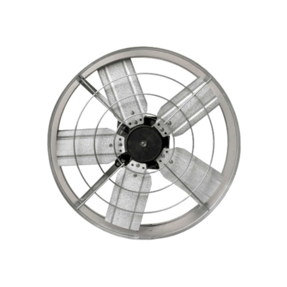 image_432a4cf9-71fa-47f8-baba-9afff5161c70