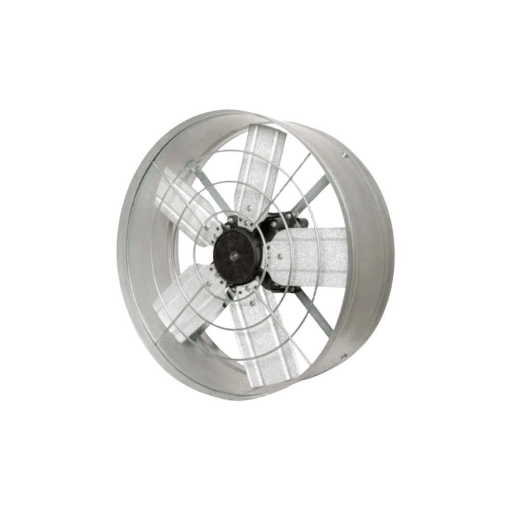 image_375b7e43-ebfc-488c-baf2-0e04fb36ee25