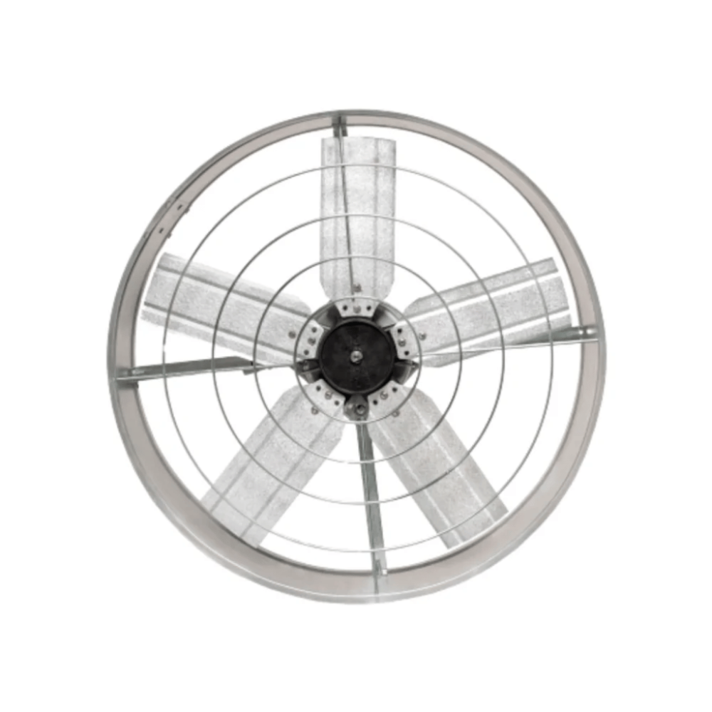 image_ab34916c-500d-4c65-9470-d95f62ea49e2