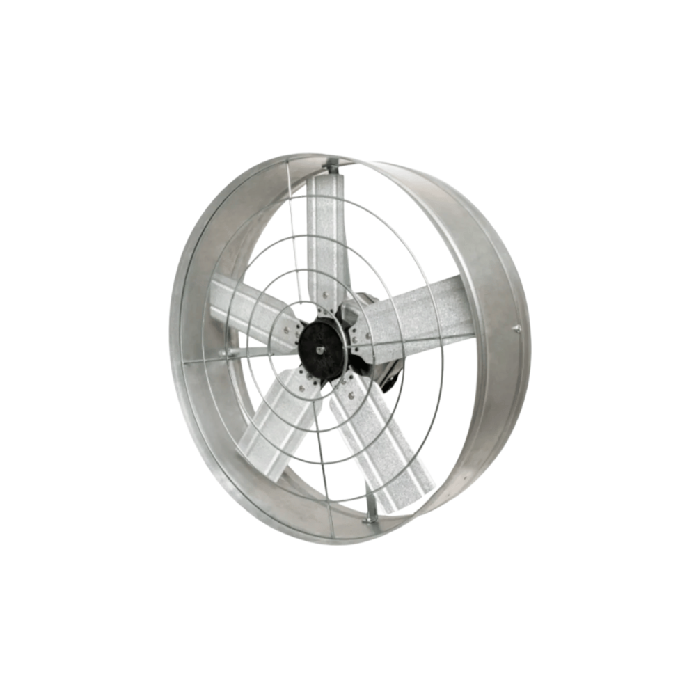 image_a52503be-01db-49fb-a779-b5b2786f61c4