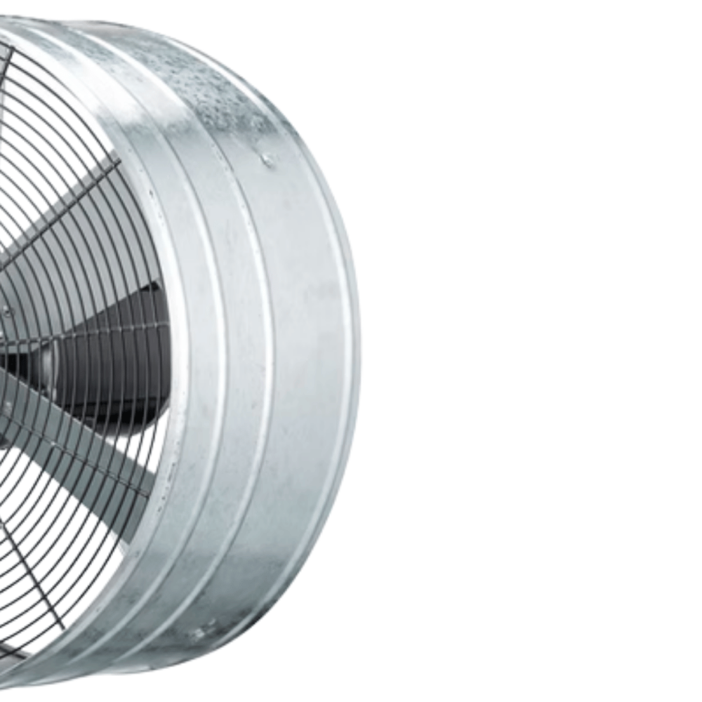 image_7dd8ca84-4ad7-4f10-8a84-b061085611d1