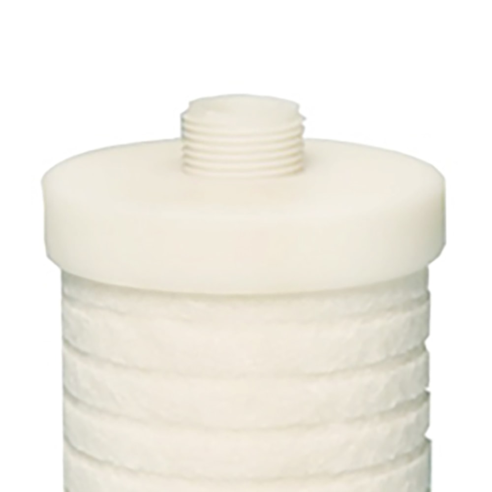 image_c4d776c1-0bd1-4b40-bb0a-dd529e10f1b5