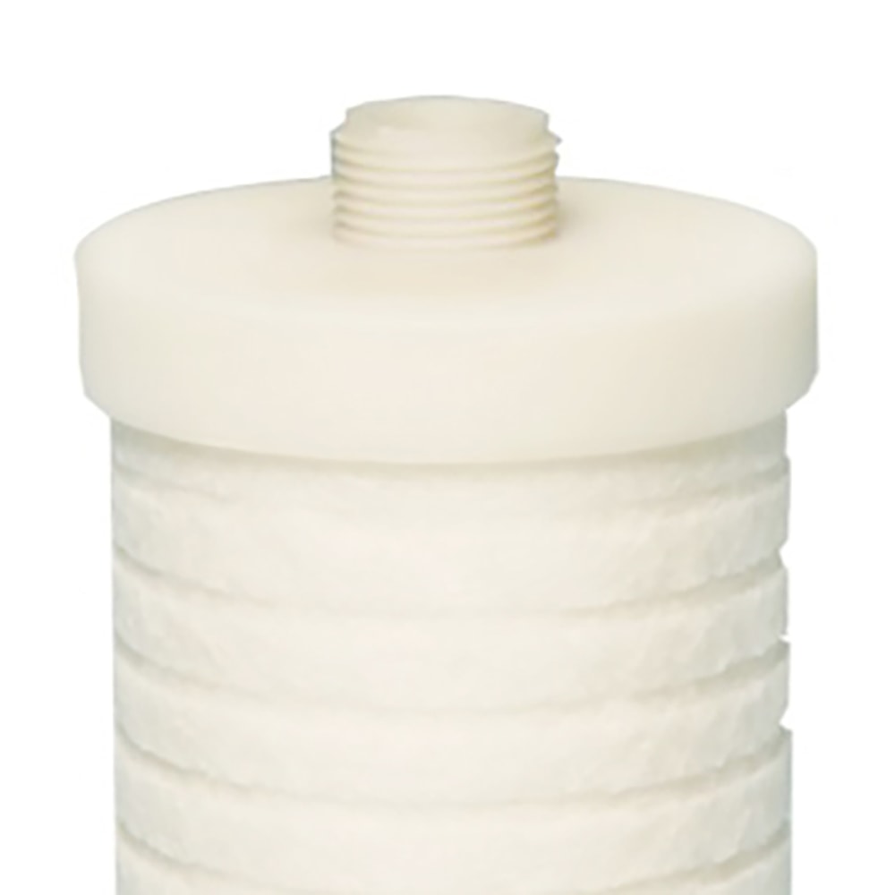 image_efe5170d-10da-4dfc-974d-50850e9367e3