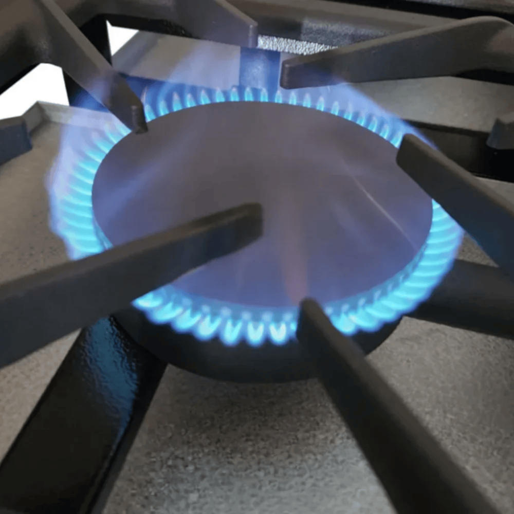 image_924aed6c-bcd4-4ef7-92e2-0be467e445d8