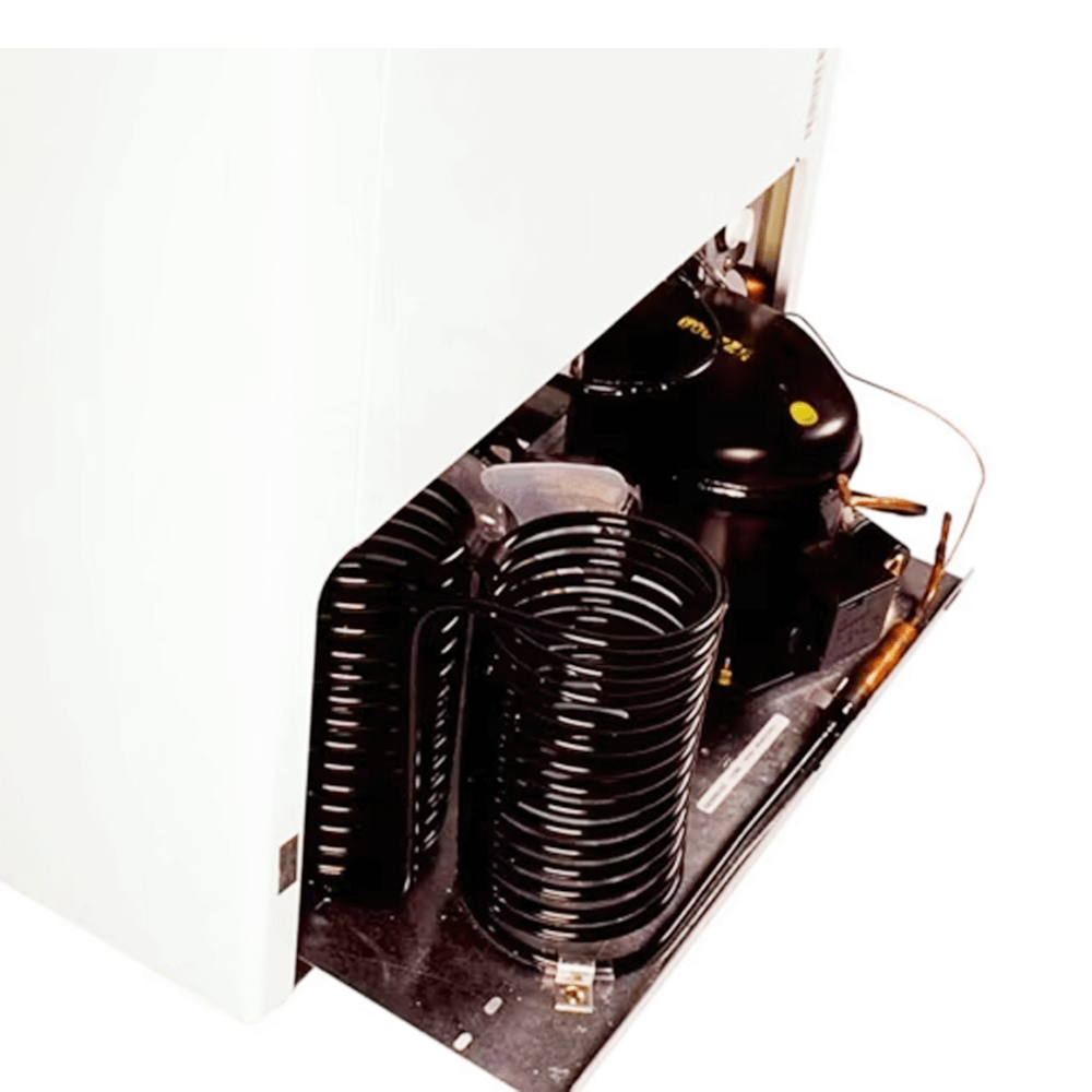 image_4a683995-0686-4417-8f11-56e22f42b780