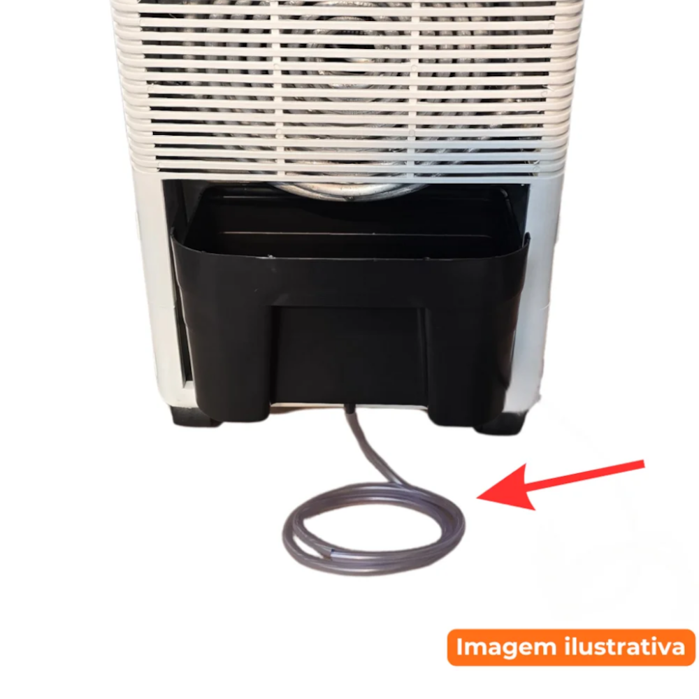 image_c87b6314-7044-4274-bd7a-2b022e84071d