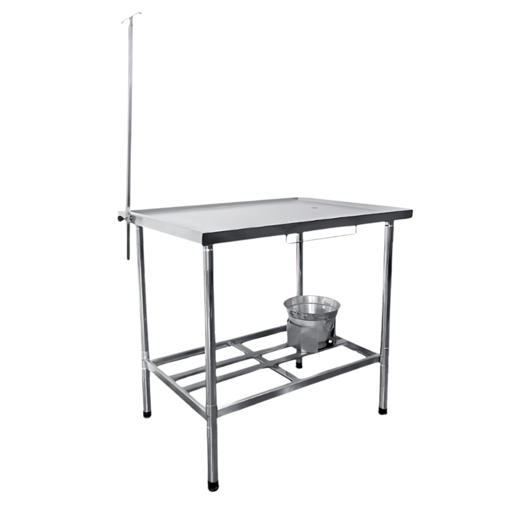 image_a317c952-8d61-42fe-84ef-0d13bd7394cf