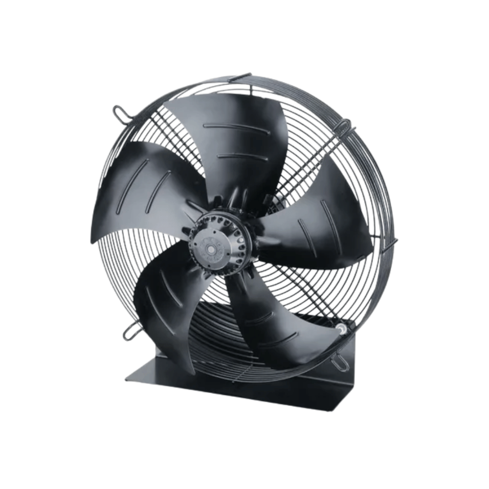 image_2cbe081b-1a70-4898-b2c3-32c06937f0d8