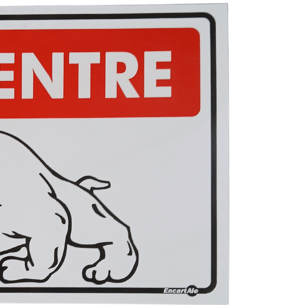 image_b0392ded-9fe7-4cb8-b0a6-7cc241524239