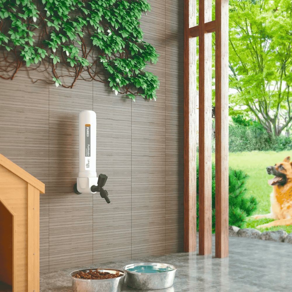 image_1363364b-0382-4200-8e04-7a00754e7b40