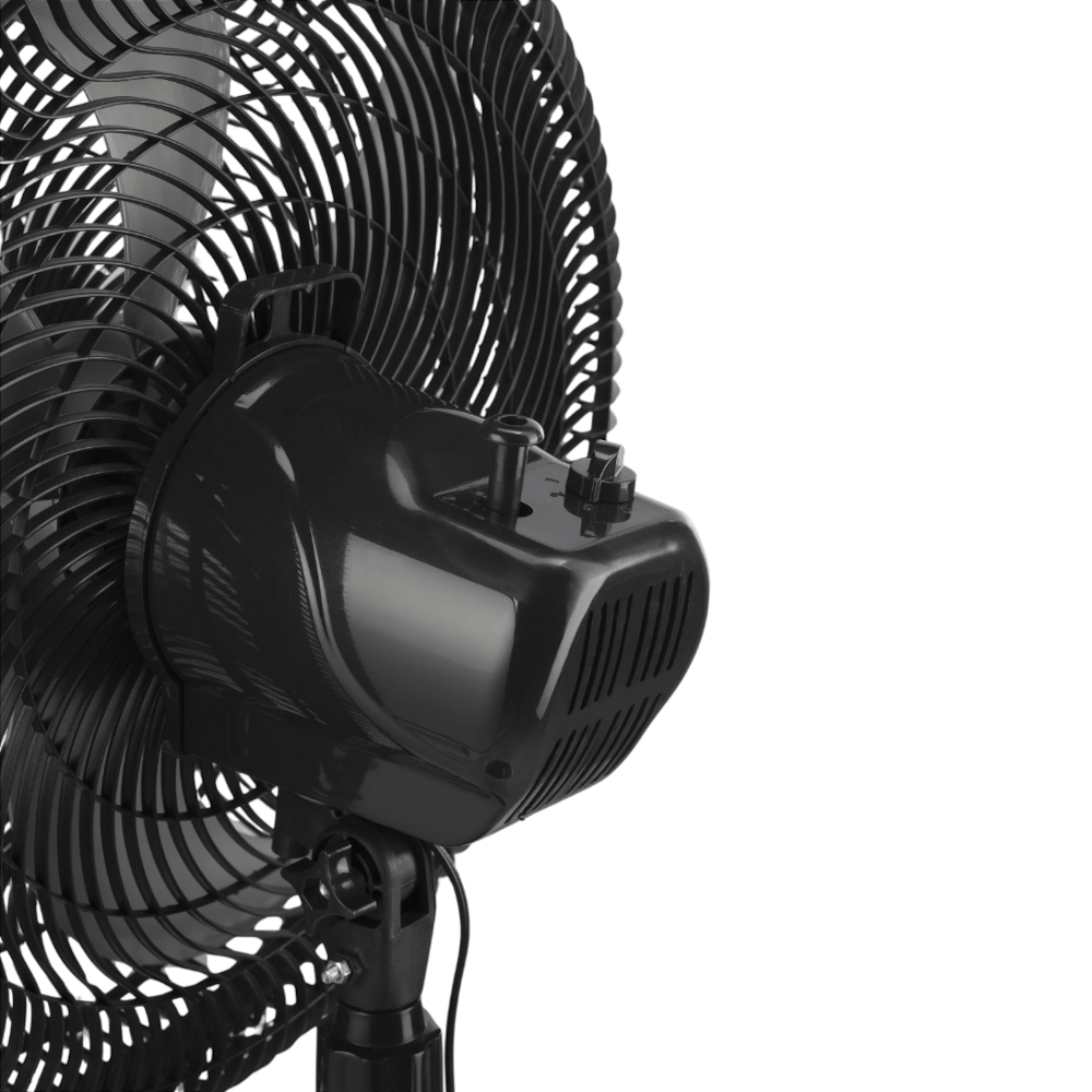 image_0e6e6ce7-6f7c-4266-a417-722e37962634