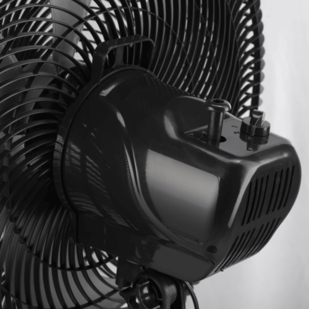 image_37a9e6e5-91fa-4a3b-b22d-4bca4e31de9a