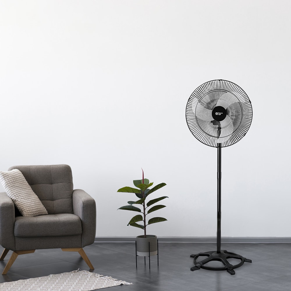 image_e017f462-6058-4ed3-8b91-f56311fefaa6