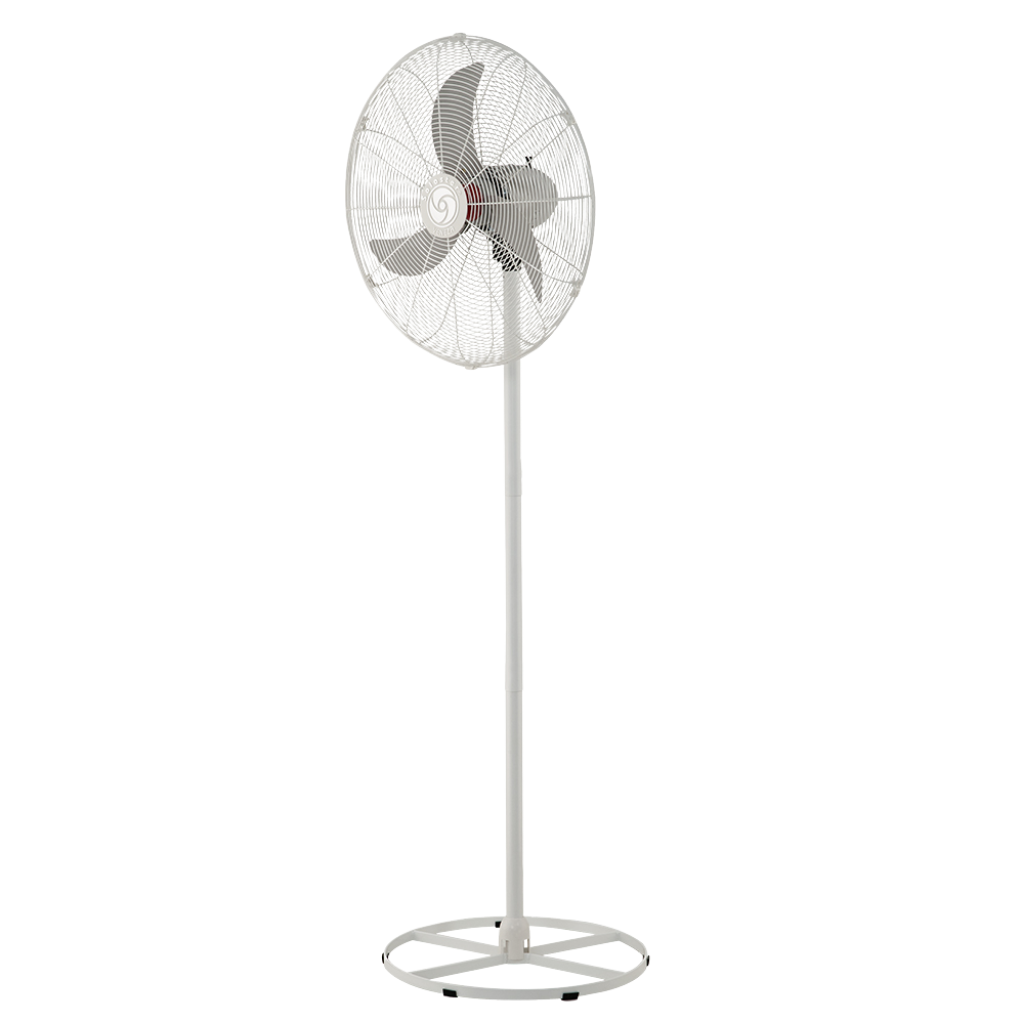 Imagem de Produto