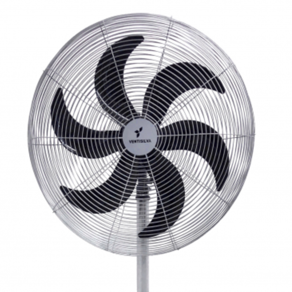image_ddb243d8-994d-4a0d-813a-439f0f6a3f47