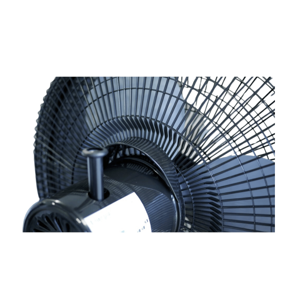 image_88ee79aa-ddd9-4c6a-959f-41fe357ee759