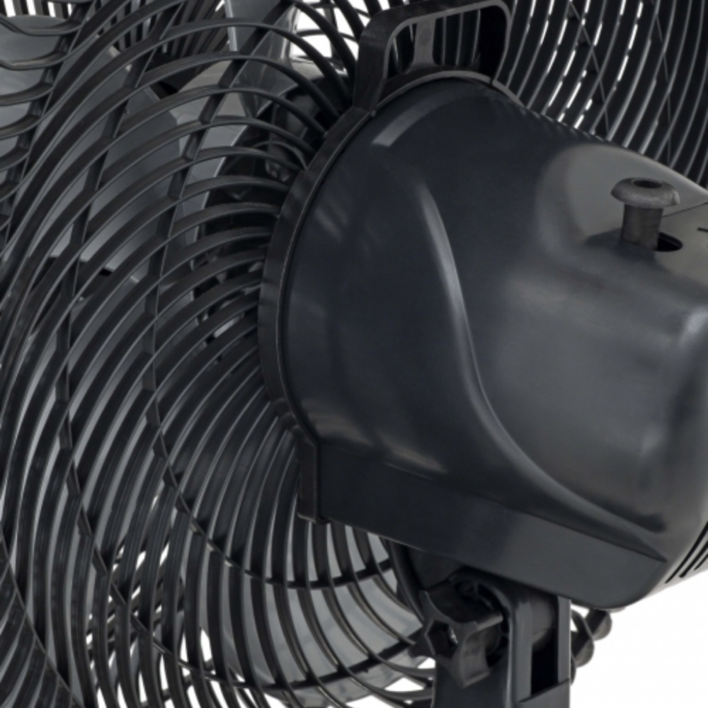 image_1951eb03-62c7-45c6-978e-e8b8332ffac9