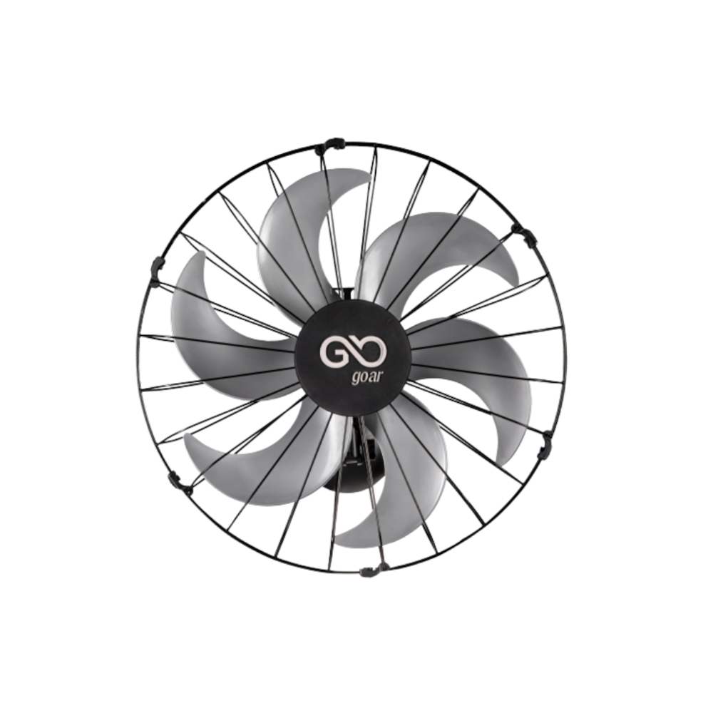 image_466908ae-700d-40fe-a872-213e68ea302e