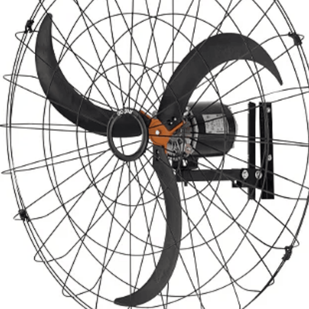 image_4758388b-3113-4494-b59b-0017bb61c533