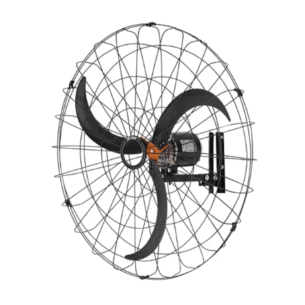 image_e577e304-155c-4e1d-b885-bcbf545c7ada