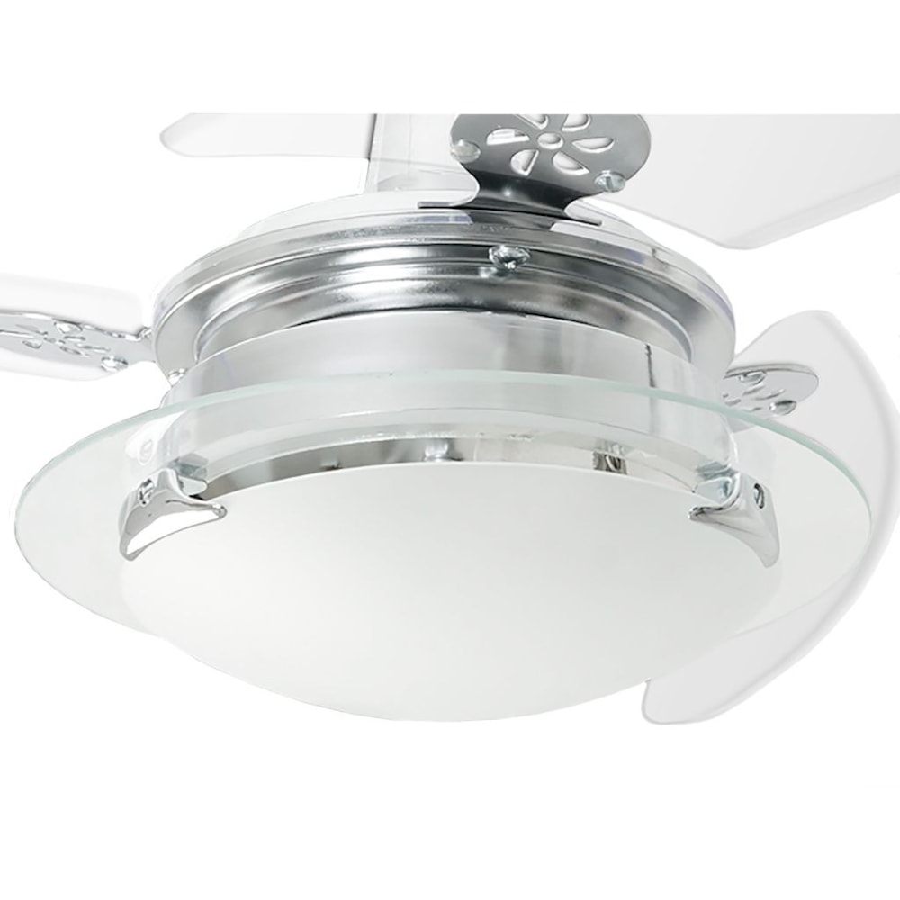 image_3aee6368-c97a-46fd-8949-eb51a7ffddf9